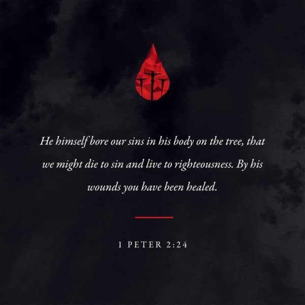 He himself bore our sins in his body on the tree, that we might die to sin and live to righteousness. By his wounds y...