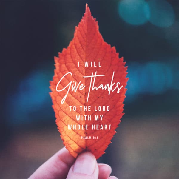 I will give thanks to the LORD with my whole heart. – Psalm 9:1