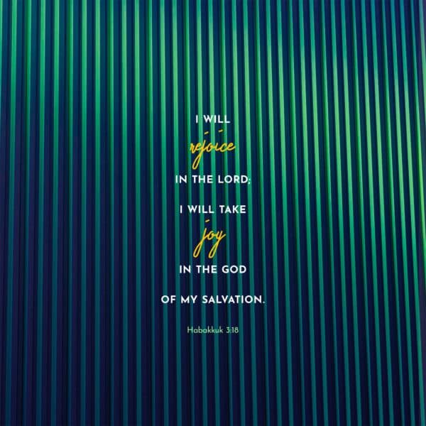 I will rejoice in the LORD; I will take joy in the God of my salvation. – Habakkuk 3:18
