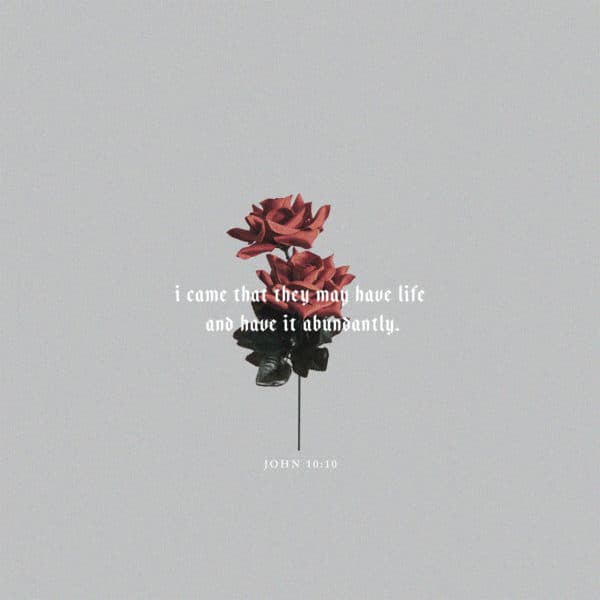 I came that they may have life and have it abundantly. – John 10:10