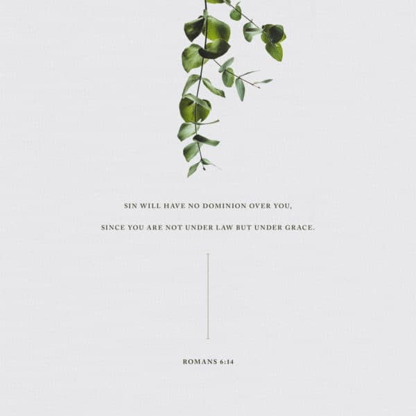 Sin will have no dominion over you, since you are not under law but under grace. – Romans 6:14