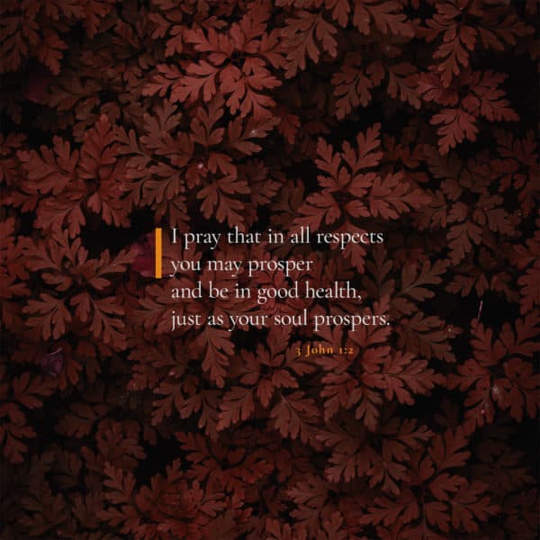 I pray that in all respects you may prosper and be in good health, just as your soul prospers. – 3 John 1:2