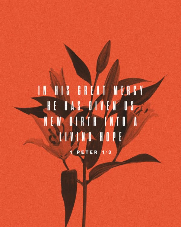 In his great mercy he has given us new birth into a living hope. – 1 Peter 1:3