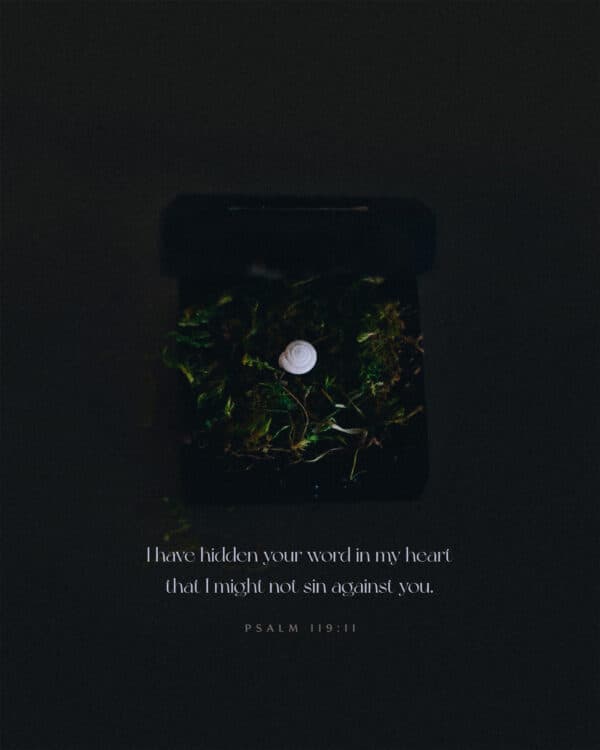“I have hidden your word in my heart that I might not sin against you.” – Psalm 119:11