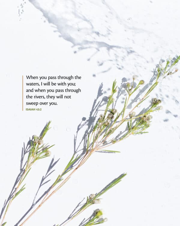 “When you pass through the waters, I will be with you; and when you pass through the rivers, they will not swee...