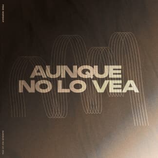 Aunque No Lo Vea