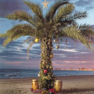 Coritos de Nochebuena