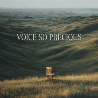 Voice So Precious
