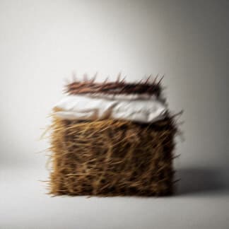 Travesía del Rey (Live Version)