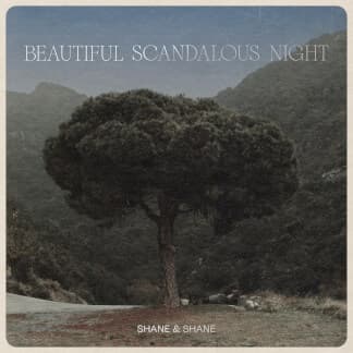 Beautiful Scandalous Night