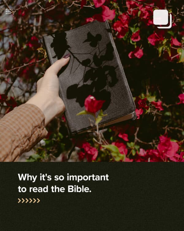 Why it’s so important to read the Bible.